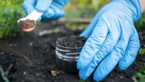 environmental sciences